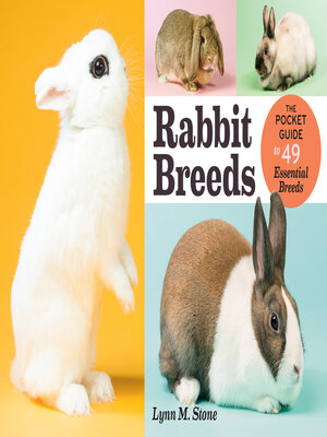 cover image of Rabbit Breeds